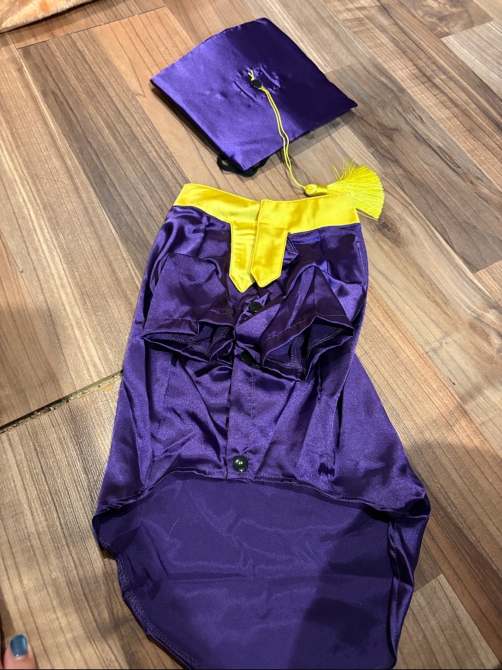 Small Dog (m) graduation outfit